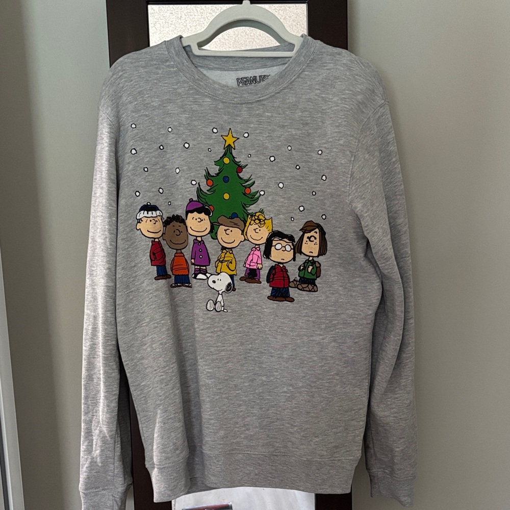 Peanuts Gray Sweatshirt with Colorful Characters. Never worn.